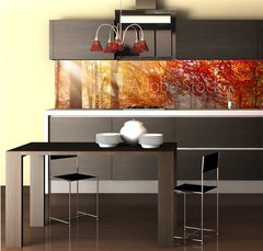 Fototapeta do kuchyn flie 260 x 60, 122248477 - Herbst im Wald, mit Lichtstrahlen im Nebel und rotem Laub
