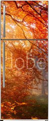 Samolepka na lednici flie 80 x 200, 122248477 - Herbst im Wald, mit Lichtstrahlen im Nebel und rotem Laub