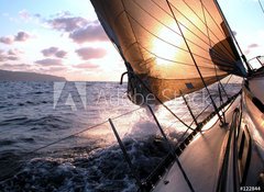 Samolepka flie 100 x 73, 122844 - sailing to the sunrise - plachtn na vchod slunce