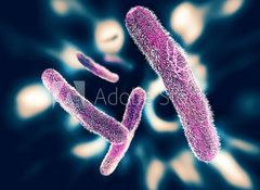 Samolepka flie 100 x 73  Shigella Bacteria, 100 x 73 cm