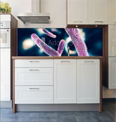 Fototapeta do kuchyn flie 180 x 60, 122886078 - Shigella Bacteria - Bakterie Shigella