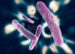 Samolepka flie 200 x 144  Shigella Bacteria, 200 x 144 cm