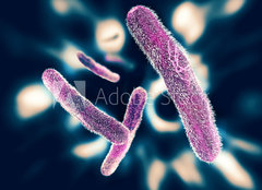 Fototapeta240 x 174  Shigella Bacteria, 240 x 174 cm