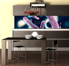 Fototapeta do kuchyn flie 260 x 60  Shigella Bacteria, 260 x 60 cm