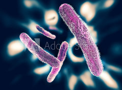 Samolepka flie 270 x 200  Shigella Bacteria, 270 x 200 cm