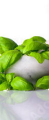 Samolepka na dvee flie 90 x 220, 122892380 - Pestle and Mortar with Green Herbs on White Background