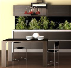 Fototapeta do kuchyn flie 260 x 60, 12303804 - Ganja11