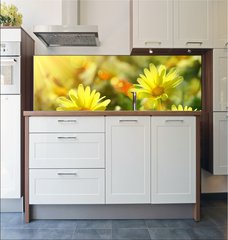 Fototapeta do kuchyn flie 180 x 60, 12348665 - Closeup of yellow daisies with warm rays