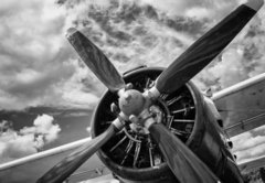 Fototapeta174 x 120  Close up of old airplane in black and white, 174 x 120 cm