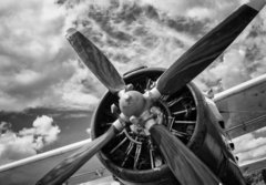 Fototapeta papr 184 x 128, 123654629 - Close up of old airplane in black and white - Zblzka starho letadla v ern a bl