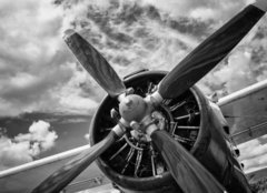 Fototapeta240 x 174  Close up of old airplane in black and white, 240 x 174 cm