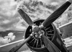 Fototapeta254 x 184  Close up of old airplane in black and white, 254 x 184 cm