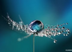 Fototapeta papr 160 x 116, 124005669 - Beautiful dew drops on a dandelion seed macro. Beautiful soft light blue and violet background. Water drops on a parachutes dandelion on a beautiful blue. Soft dreamy tender artistic image form.