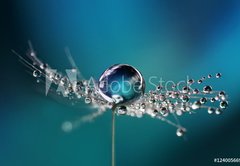 Fototapeta pltno 174 x 120, 124005669 - Beautiful dew drops on a dandelion seed macro. Beautiful soft light blue and violet background. Water drops on a parachutes dandelion on a beautiful blue. Soft dreamy tender artistic image form.