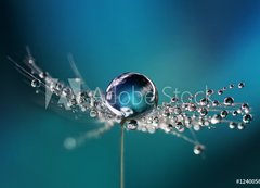 Samolepka flie 200 x 144, 124005669 - Beautiful dew drops on a dandelion seed macro. Beautiful soft light blue and violet background. Water drops on a parachutes dandelion on a beautiful blue. Soft dreamy tender artistic image form.