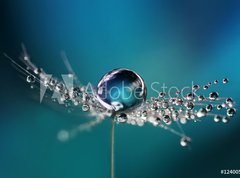 Fototapeta pltno 330 x 244, 124005669 - Beautiful dew drops on a dandelion seed macro. Beautiful soft light blue and violet background. Water drops on a parachutes dandelion on a beautiful blue. Soft dreamy tender artistic image form.