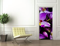 Samolepka na dvee flie 90 x 220, 1241133 - orchids