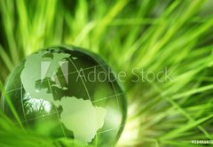 Fototapeta174 x 120  Glass earth in grass, 174 x 120 cm