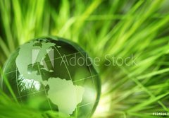 Fototapeta papr 184 x 128, 12451879 - Glass earth in grass - Sklenn zem v trv