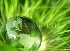 Samolepka flie 200 x 144, 12451879 - Glass earth in grass - Sklenn zem v trv
