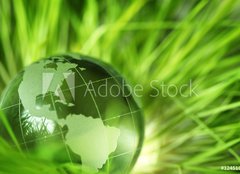 Fototapeta240 x 174  Glass earth in grass, 240 x 174 cm