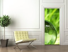 Samolepka na dvee flie 90 x 220, 12451879 - Glass earth in grass - Sklenn zem v trv