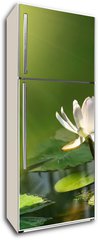 Samolepka na lednici flie 80 x 200  Lily flower on a green background, 80 x 200 cm