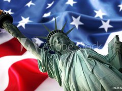Samolepka flie 270 x 200, 12542738 - NY Statue of Liberty against a flag of USA