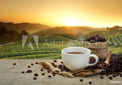 Fototapeta184 x 128  Hot Coffee cup with Coffee beans on the wooden table and the pla, 184 x 128 cm