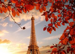 Fototapeta papr 160 x 116, 126000625 - Eiffel Tower with autumn leaves in Paris, France