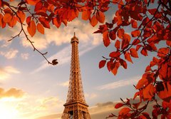 Fototapeta papr 184 x 128, 126000625 - Eiffel Tower with autumn leaves in Paris, France