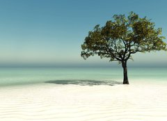 Samolepka flie 200 x 144, 126560090 - tree on the beach - strom na pli