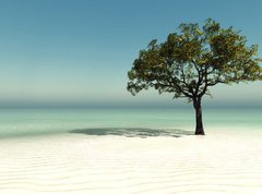 Fototapeta vliesov 270 x 200, 126560090 - tree on the beach