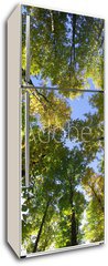 Samolepka na lednici fólie 80 x 200, 12669766 - foret