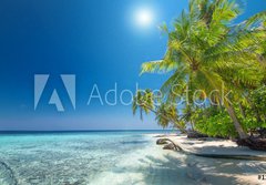 Fototapeta papr 184 x 128, 126748913 - Traumstrand