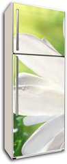 Samolepka na lednici flie 80 x 200, 12750735 - Wild daisy