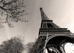 Fototapeta200 x 144  Tour Eiffel  Eiffel Tower, 200 x 144 cm