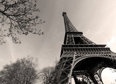 Fototapeta240 x 174  Tour Eiffel  Eiffel Tower, 240 x 174 cm