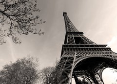 Fototapeta254 x 184  Tour Eiffel  Eiffel Tower, 254 x 184 cm