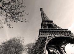 Fototapeta330 x 244  Tour Eiffel  Eiffel Tower, 330 x 244 cm