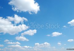 Samolepka flie 145 x 100, 12856294 - nuvem