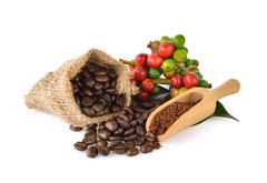 Fototapeta pltno 174 x 120, 128629736 - coffee beans and red ripe coffee  on white background. - kvov zrna a erven zral kva na blm pozad.