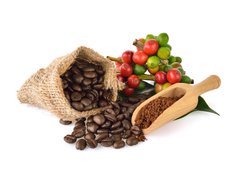 Fototapeta254 x 184  coffee beans and red ripe coffee on white background., 254 x 184 cm