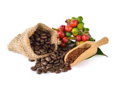 Fototapeta360 x 266  coffee beans and red ripe coffee on white background., 360 x 266 cm