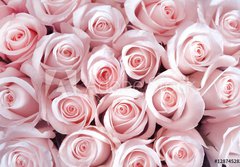 Fototapeta papr 184 x 128, 128745282 - Pink roses as a background