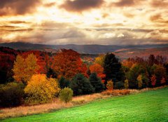 Fototapeta pltno 240 x 174, 1290922 - vermont fall faliage - vermont pad faliage