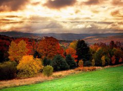 Samolepka flie 270 x 200  vermont fall faliage, 270 x 200 cm