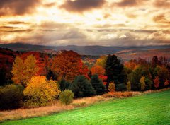 Fototapeta pltno 330 x 244, 1290922 - vermont fall faliage