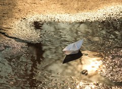 Fototapeta vliesov 100 x 73, 12953021 - paper ship floats in a spring pool - paprov lo pluje v jarnm baznu