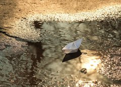 Samolepka flie 200 x 144, 12953021 - paper ship floats in a spring pool
